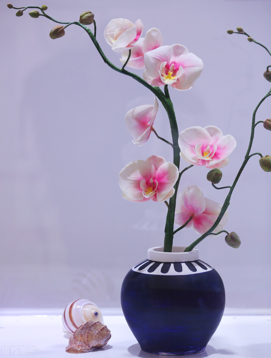 学花艺的基本步骤,零基础怎样成为花艺师和开花店