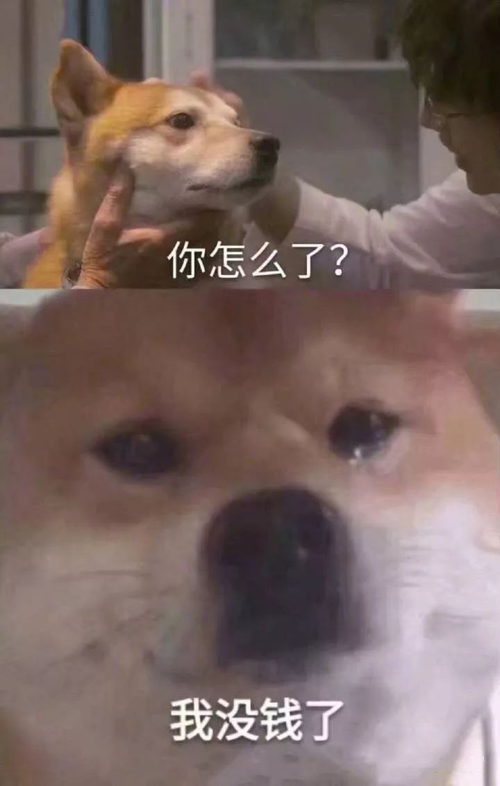 当代大学生生活费支出情况,大学生生活费差距