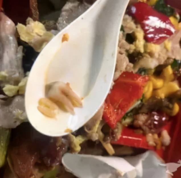 网红炸鸡店被曝光,外卖黑心商家食品曝光