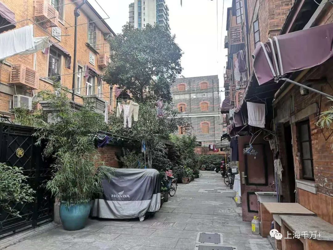 住在上海市的真实感受,住在上海的基本常识