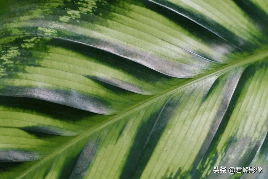 徕卡q2升级拍摄教程,徕卡q2的连拍设置