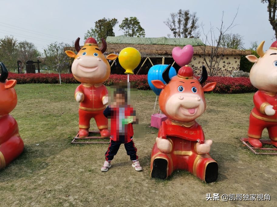 不一样的南通动物园,南通森林野生动物园和上海动物园