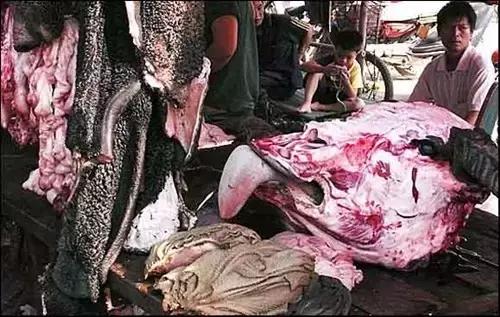 牛杂如何处理才会软烂,牛杂碎该怎么处理呢