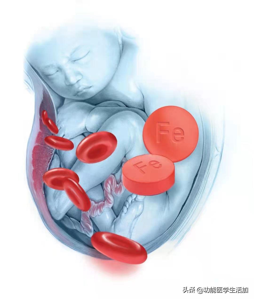 孕期有什么好的方法可以补铁吗,孕期如何快速补铁最有效