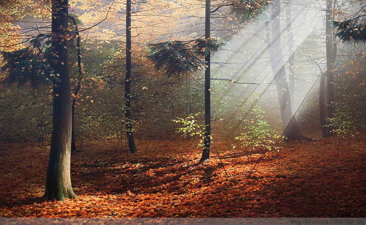 俄罗斯画家画油画海景风景,尤恩乌格罗油画风景作品