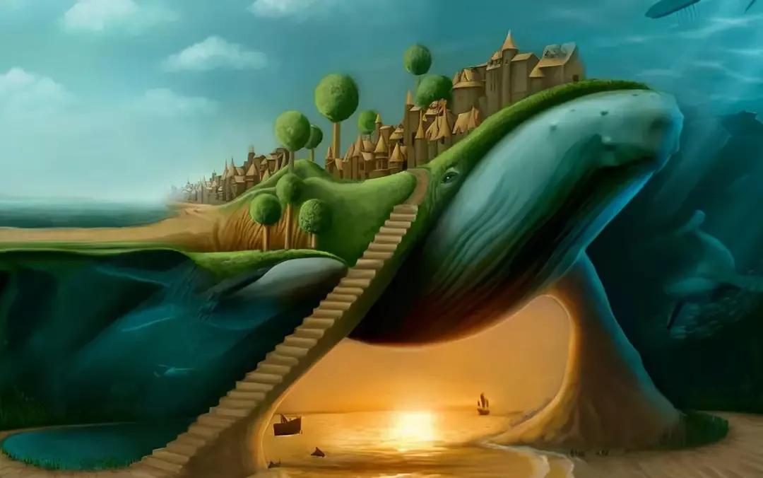 起点即终点：鳗鱼穷其一生，只为留下最后的温柔