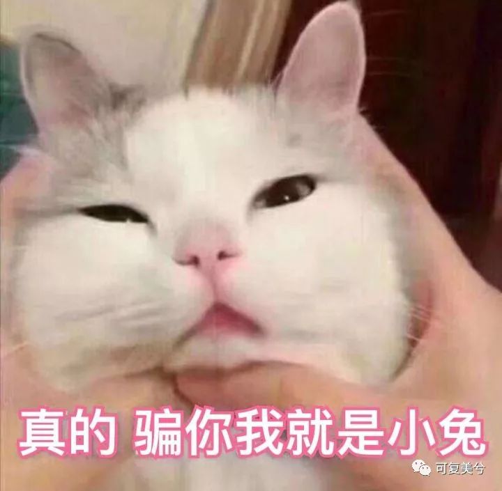 整形医院薅羊毛,整形医院的获客之道