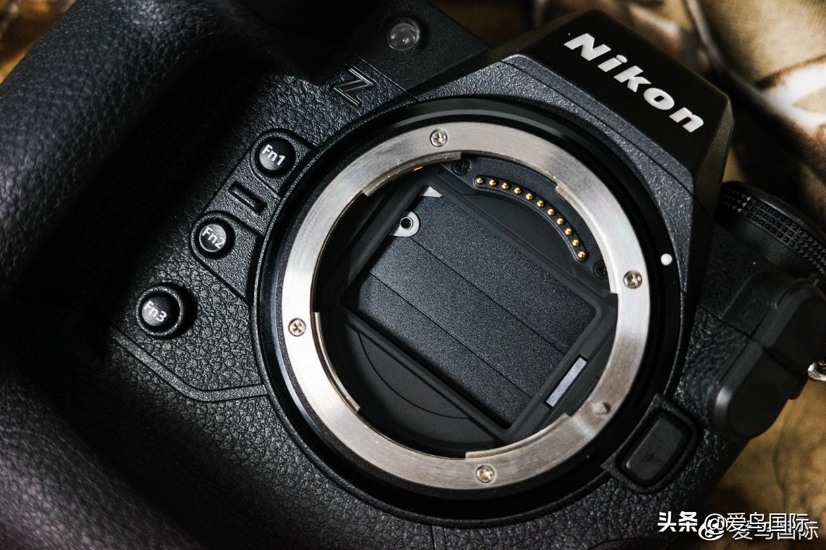 尼康z9有希望更新人像模式吗,尼康z9为什么适合打鸟