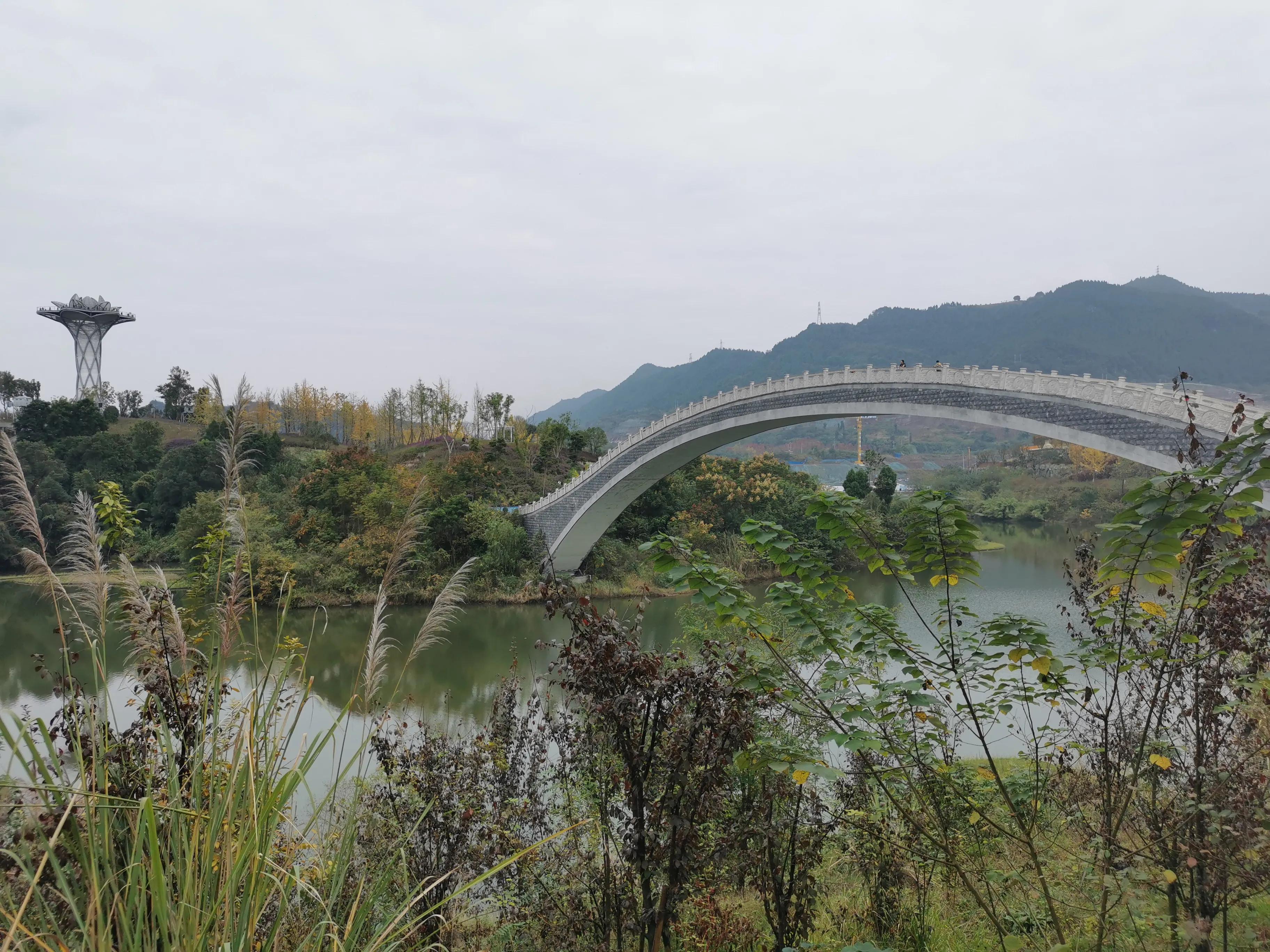 老鼠和人类斗智斗勇,专家与高智商老鼠斗智斗勇