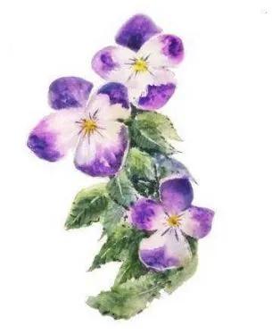 仲夏夜之梦出处,仲夏夜之梦开端