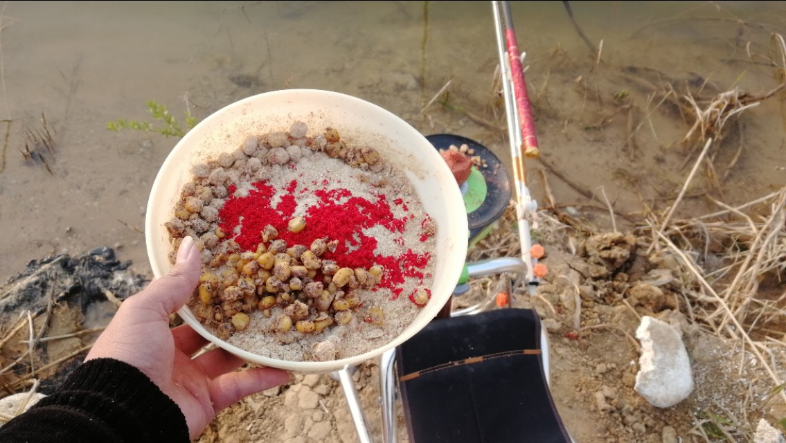 想钓鲤鱼该怎么操作,想钓大鲫鱼怎么钓