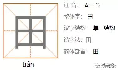 田姓氏的家族演变,田姓氏的历史演变