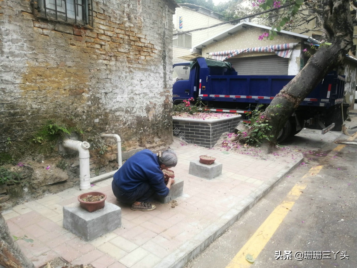 花市探秘,探访广州古村落