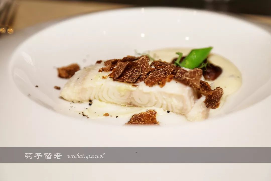 澳门新葡京酒店的美食指南，去澳门必打卡