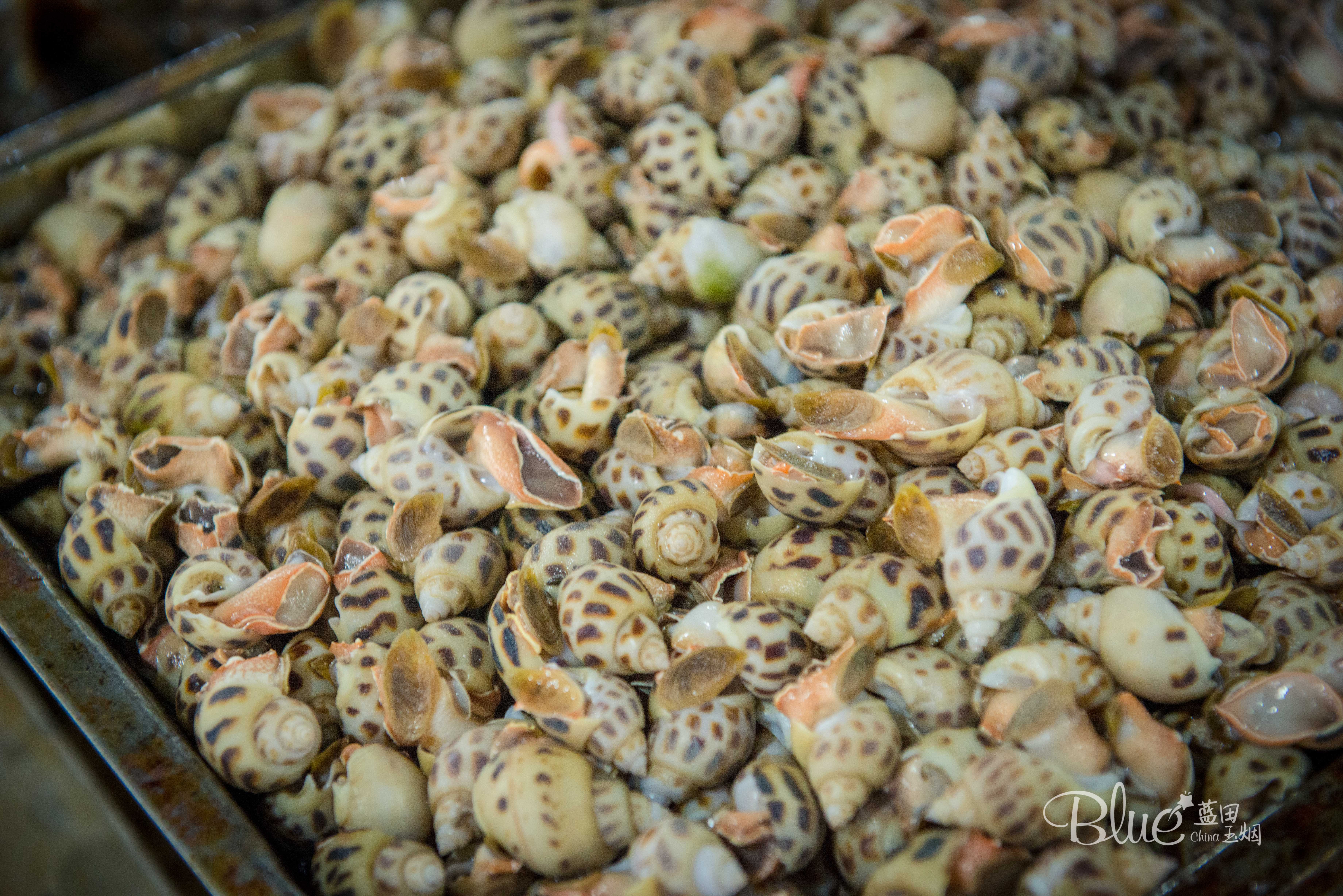 海口海鲜市场哪里比较好,海口板桥海鲜市场海鲜新鲜吗