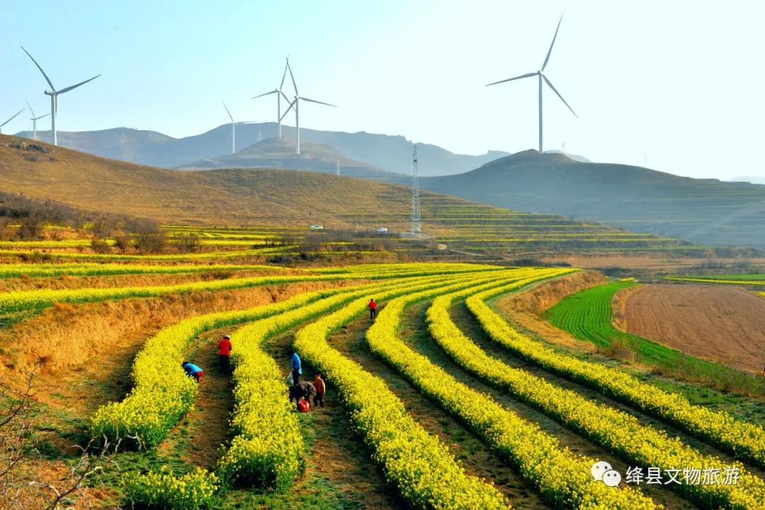 美丽乡村百花开,美丽乡村百花节
