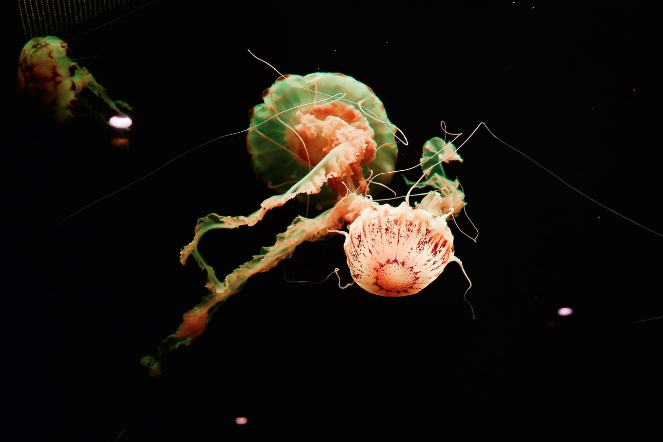 三亚自由行5天4晚亲子游攻略,寒假三亚5天4晚3人亲子游团购