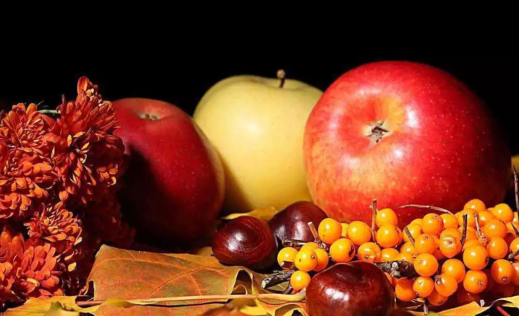 孕期反应知识,妊娠反应恶心吃什么可以缓解