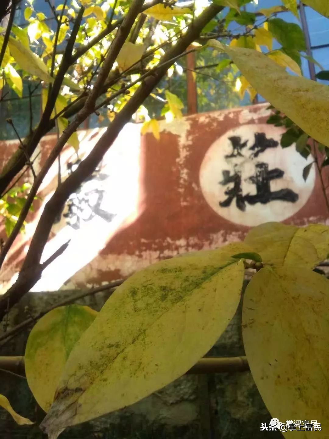 家乡是我们成长的沃土,家乡是生养我们的地方