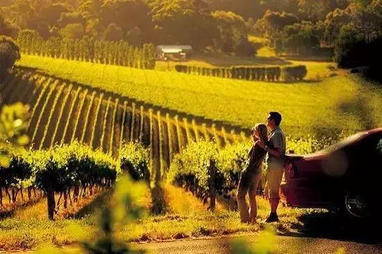 啥是休闲农业,创意休闲农业包括哪些