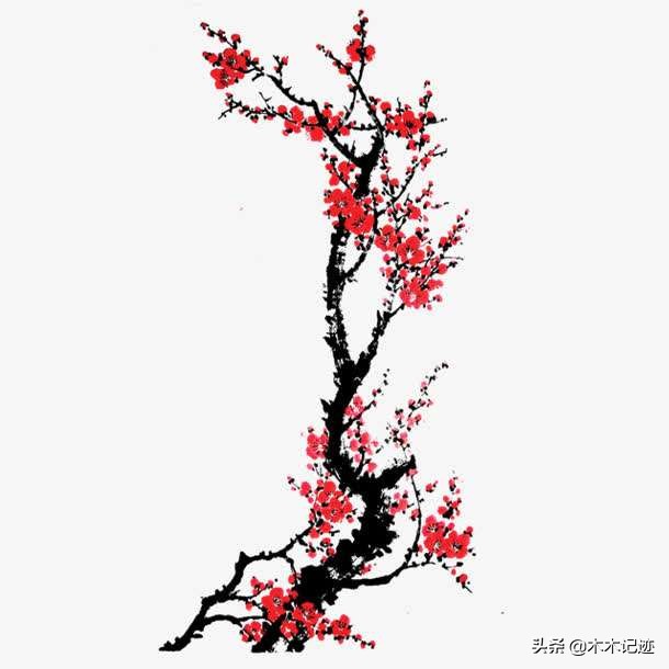 什么是梅花易数占卜预测术,梅花易数算命占卜免费