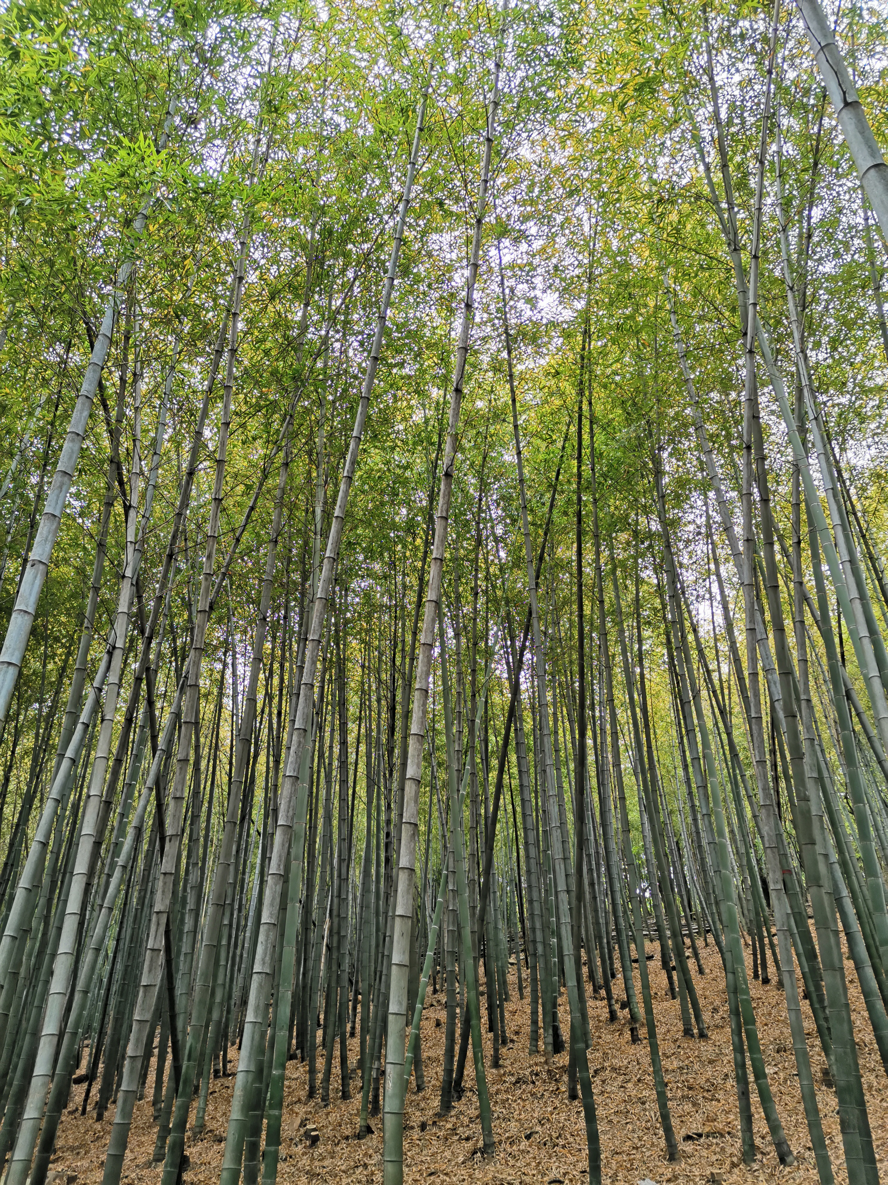 穹窿山穹窿胜迹,苏州穹窿山免费徒步攻略