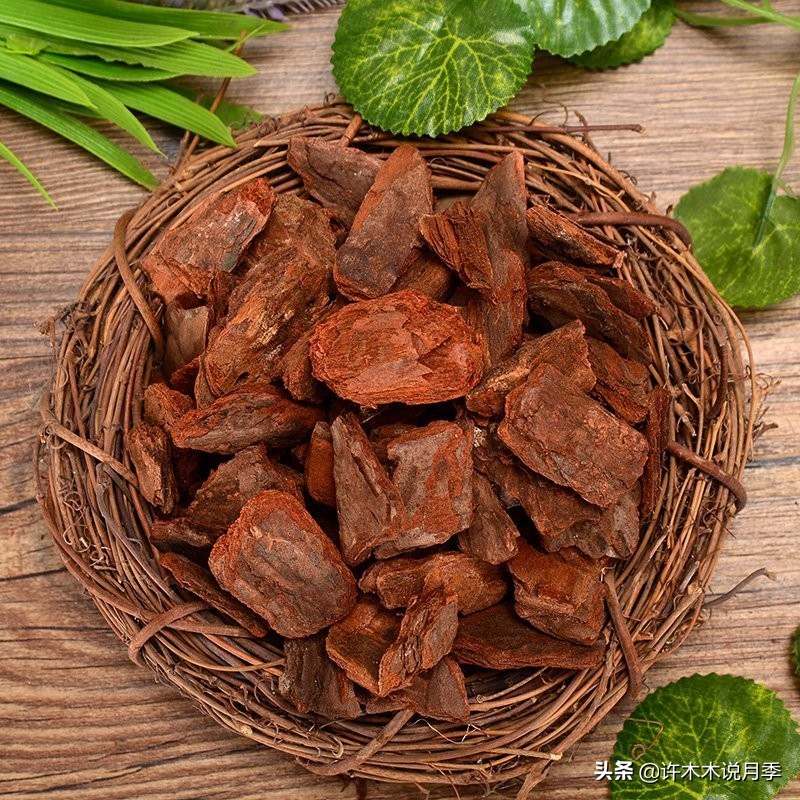 地栽月季水浇多了烂根怎么补救,藤本月季大苗烂根快速恢复方法