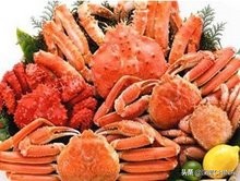 带上佳能eos90d去邂逅浪漫北海道,邂逅北海道的大雪