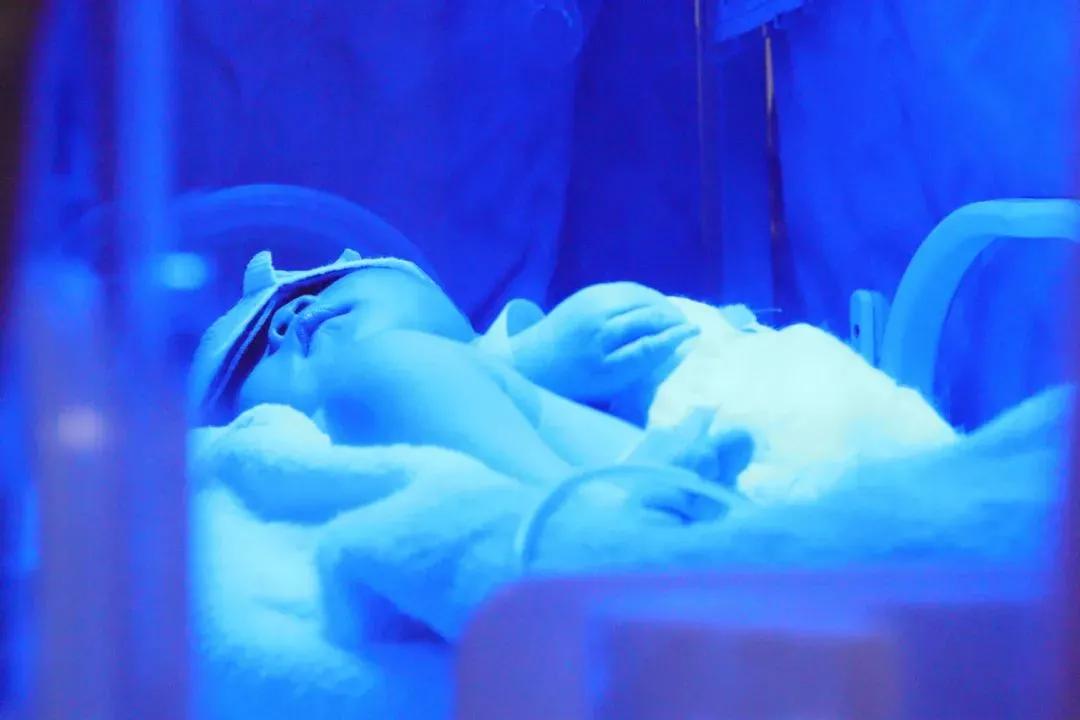 全国知名的新生儿科专家,新生儿权威专家