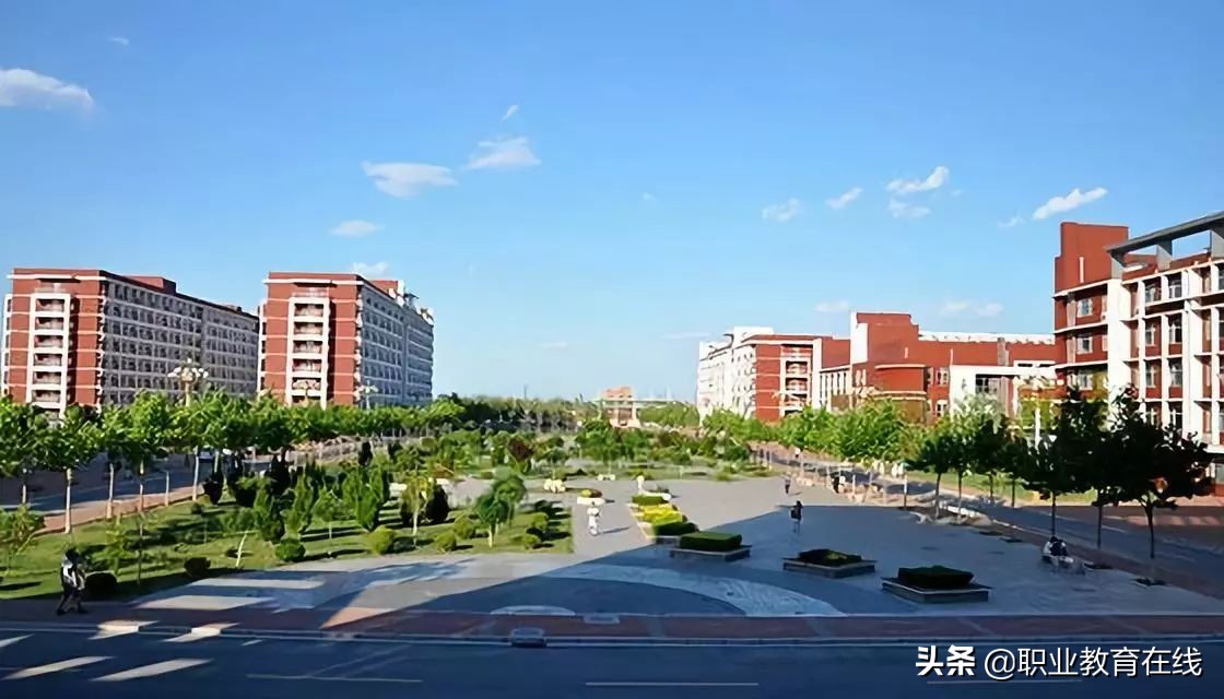 天津的高校地位,天津市内大学在天津人心中地位