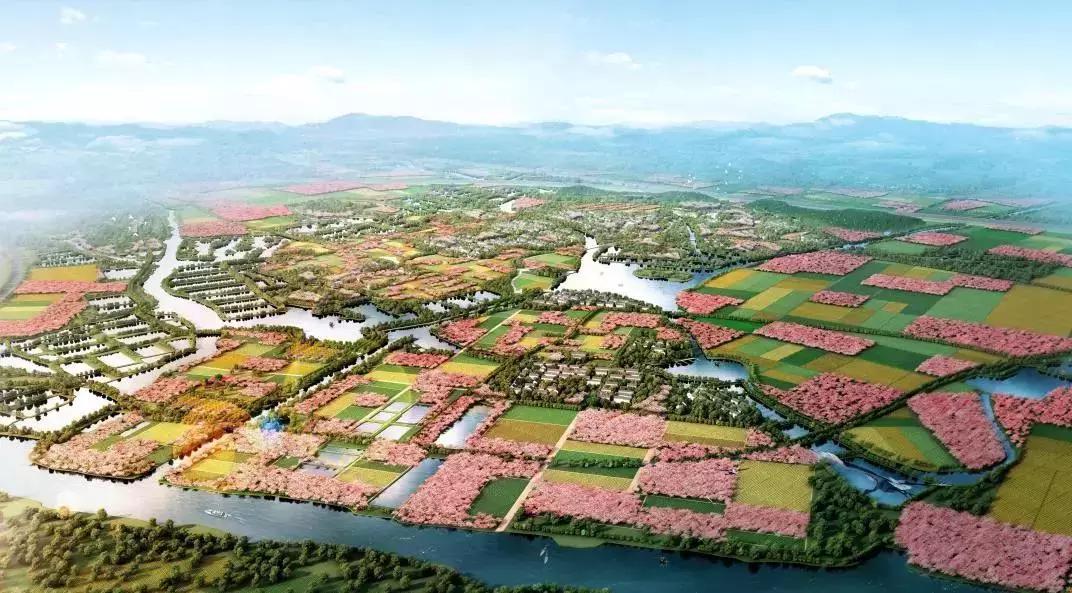 邹迎晞:“田园+乐园+家园”是田园综合体全产业链设计的实践之路