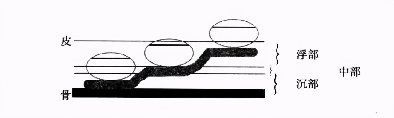 号脉入门知识10分钟让你学会,号脉摸不到跳动