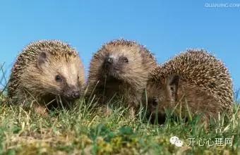 常见的有规律的事物,一些规律完整版