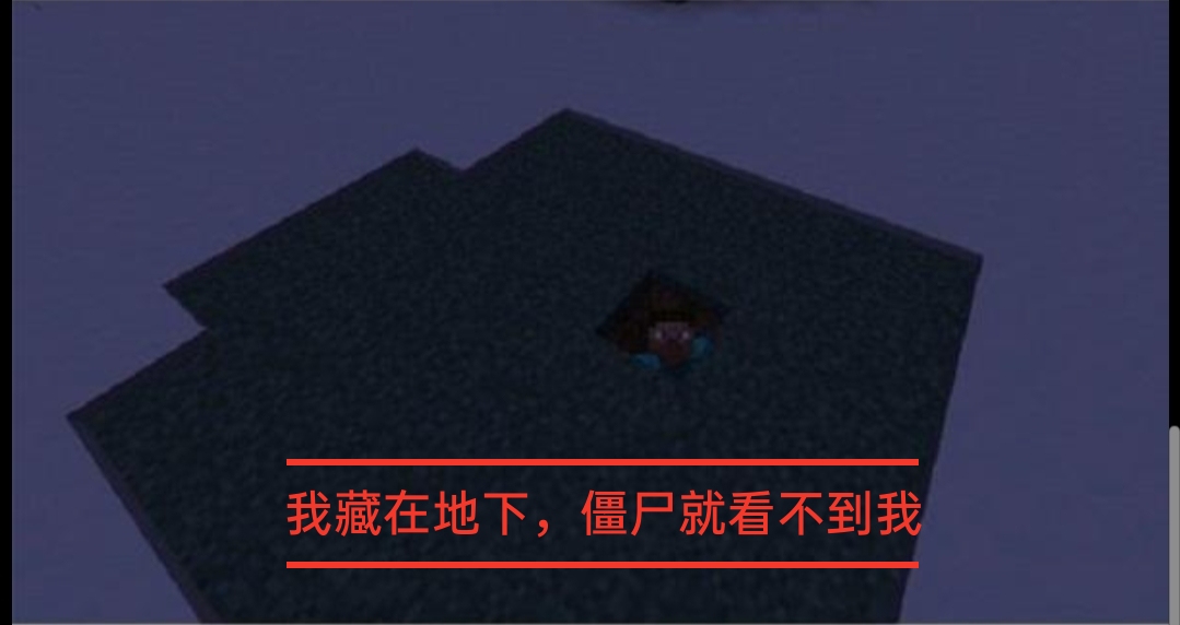 我的世界十张梗图,我的世界老玩家才知道的梗图