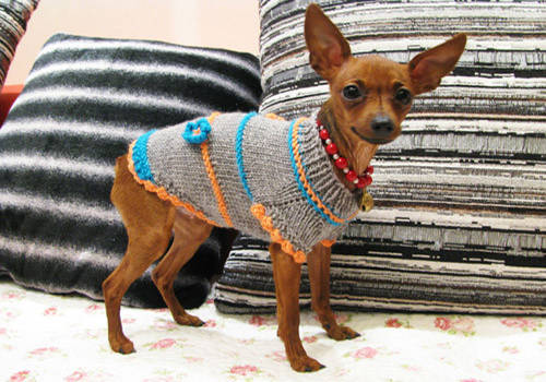 狗狗只吐白沫黏液最好的解决办法,狗狗吐白沫粘液的解决方法