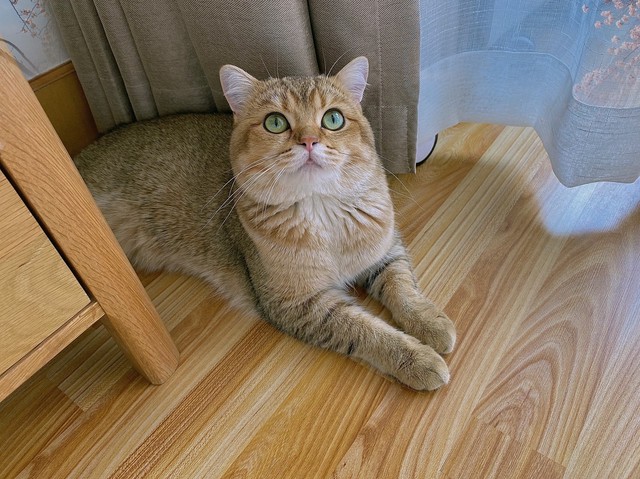 为什么长大脸越来越方,脸越来越方是什么原因