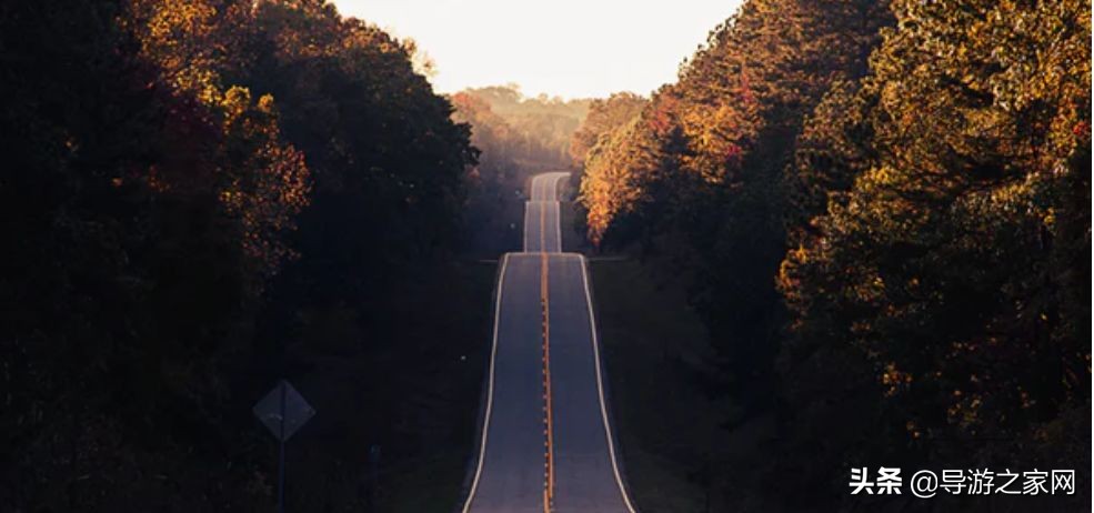 导游的工资收入靠什么,导游基本工资