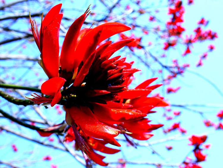 凯恩斯午评反弹,凯恩斯最新牛市消息