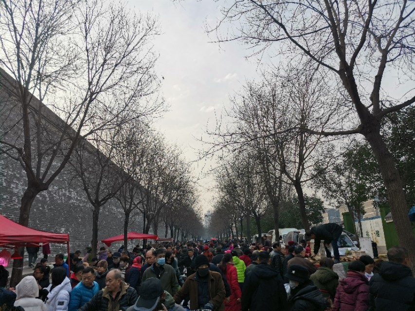 西安罔极寺攻略,西安罔极寺最新消息