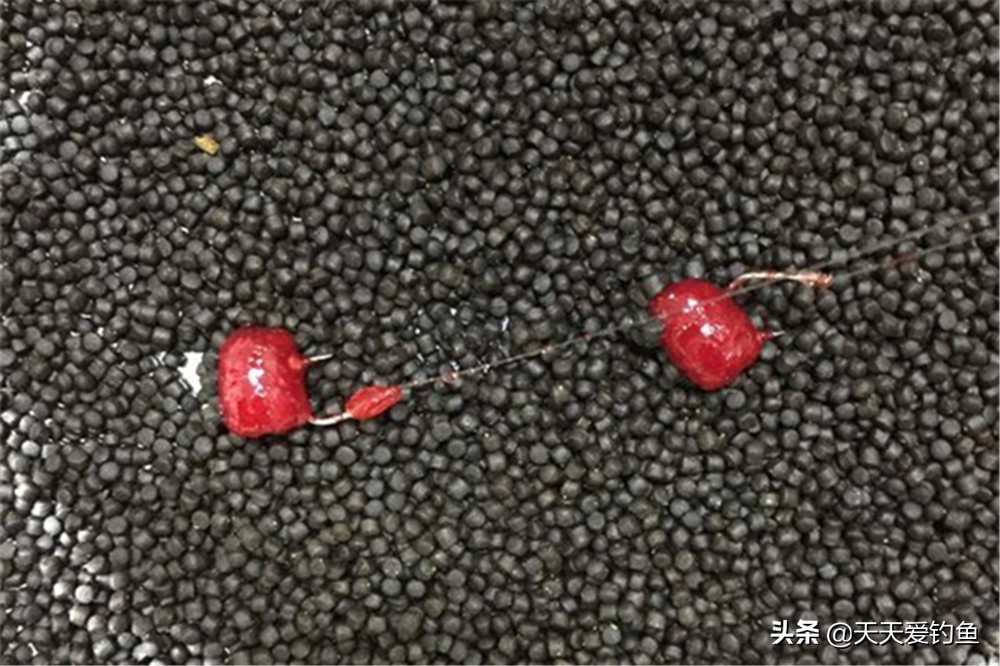 钓鱼蘸饵哪种最好,蘸饵方法