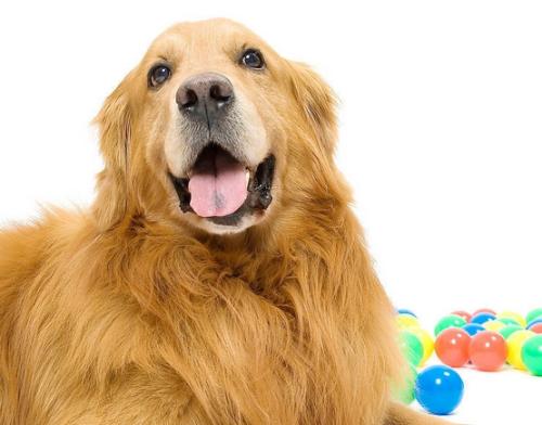 作为肺结核患者的日常生活和一些想法