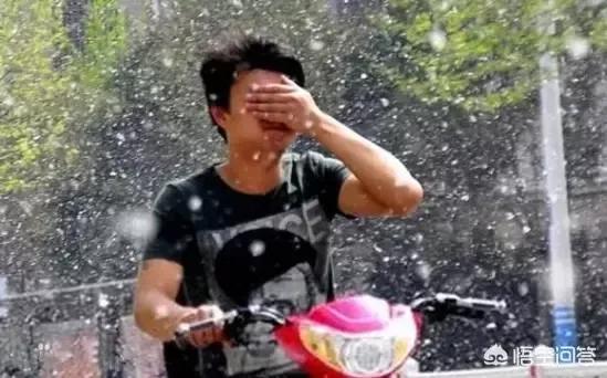 杨树的简介,杨树的全部作品