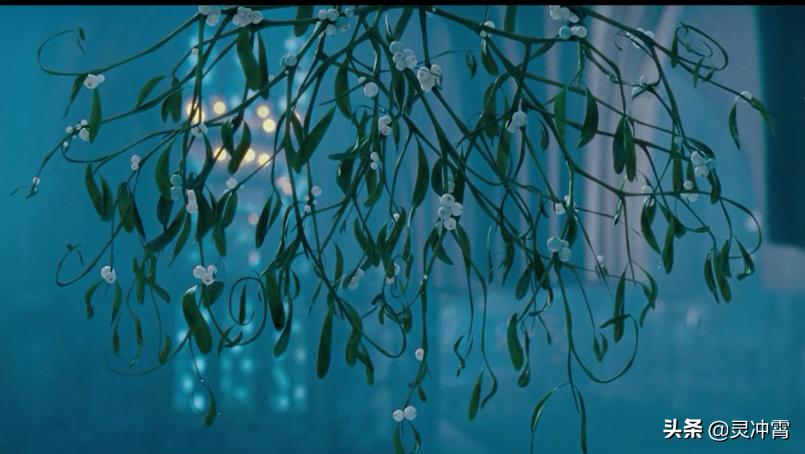 魔戒与哈利波特哪个文学地位更高,魔戒与哈利波特