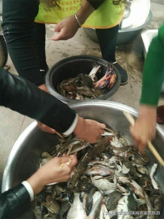 唐山月坨岛009号别墅农家院（原乐亭三岛幸福农家院）享休闲时光