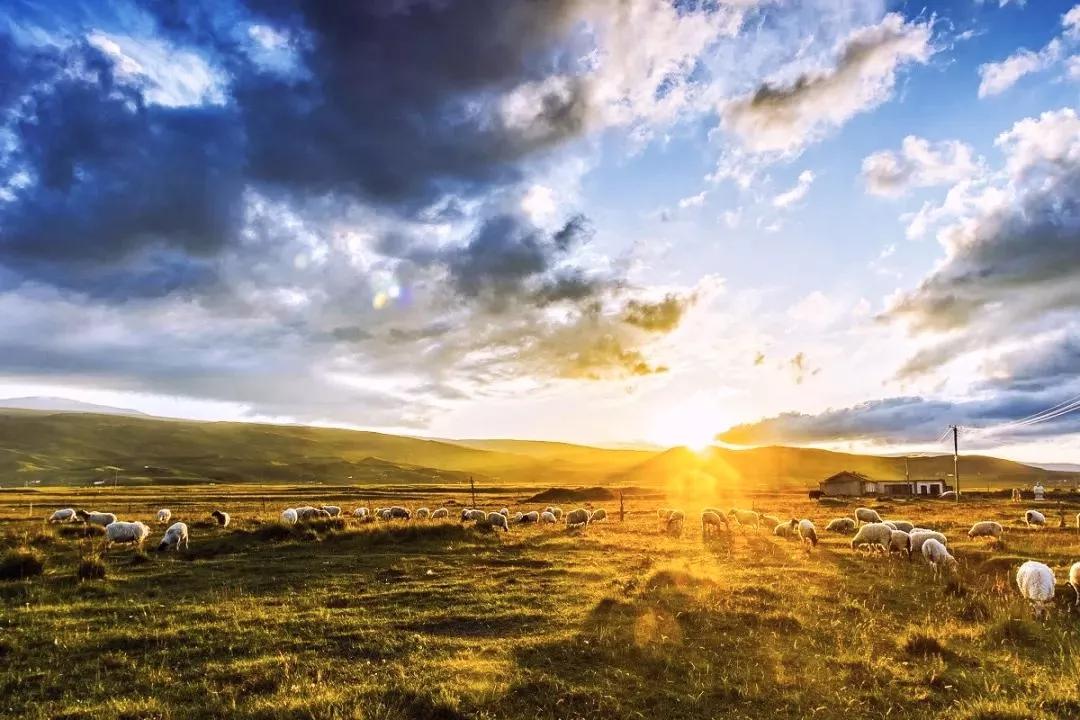 西北自驾游路线地图导航,西北自驾游路线大全图最新版