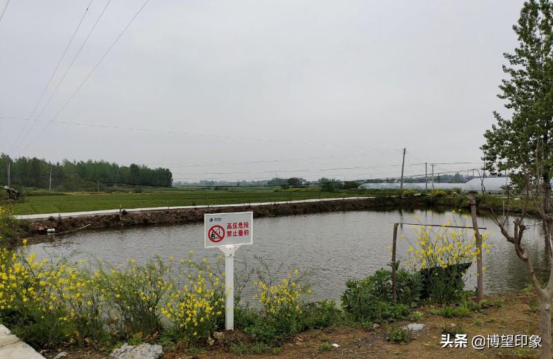 家在青山绿水之间的图片,家在青山绿水间黄梅歌