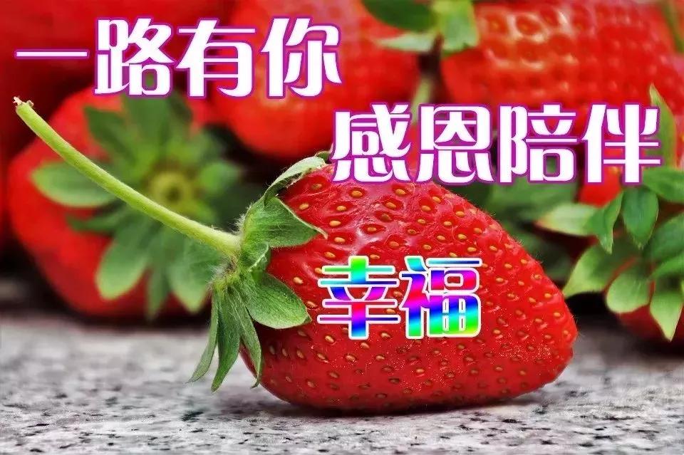 微信早上好最暖心祝福问候语图片,最新群友们早上好问候祝福语