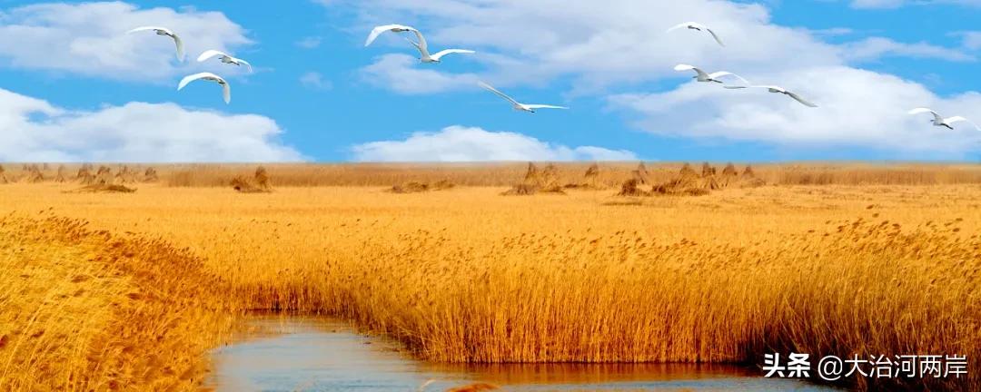 国庆小长假第二天,国庆小长假一日游