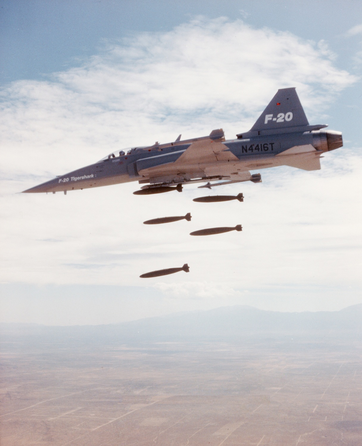 虎鲨悲剧,极富悲剧色彩的虎鲸