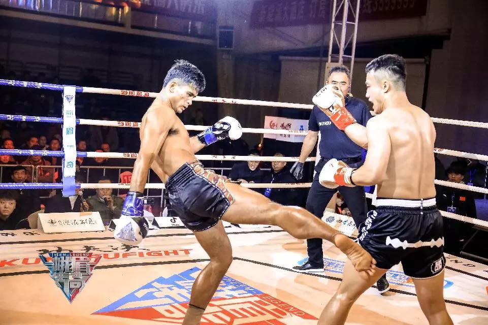 毒莲隆拉威攻击力排行,毒莲隆拉威拳击